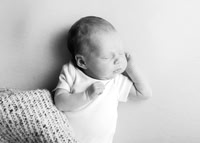 Lylah 4481020