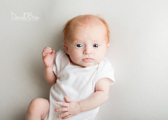 Harper 7547013