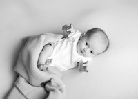 Harper 7542012