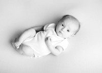 Harper 7554020