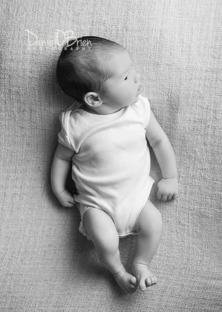 Tadhg 0155008