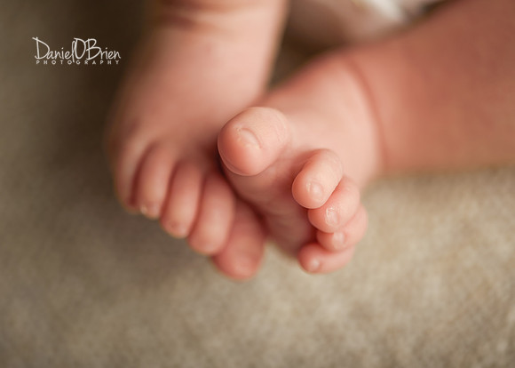 Tadhg 0176017