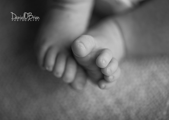 Tadhg 0176018