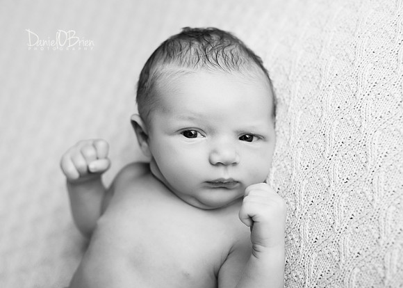 Caelan 9200008