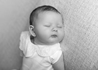 Chloe 3913012
