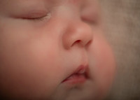 Chloe 3928015