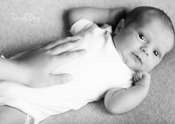 Ollie 7765026