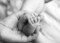 Maternal links
