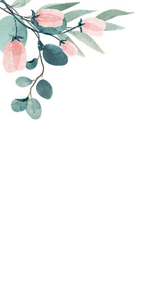 prices_background_3