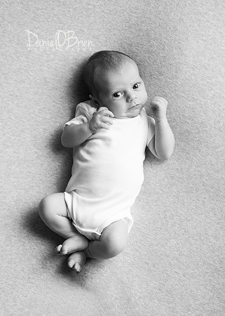 Ollie 7748018