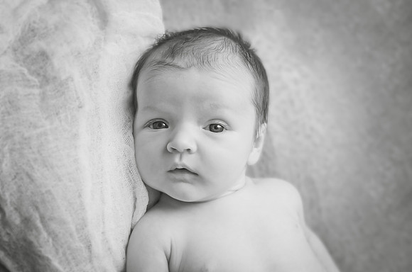 Sophia07160263018