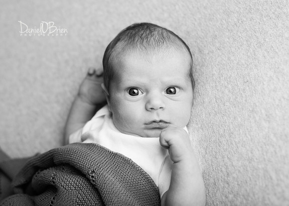 Ollie 7724004