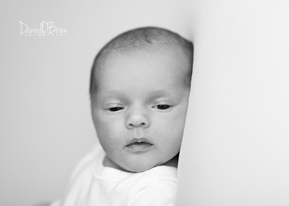 Lilly May 2014006