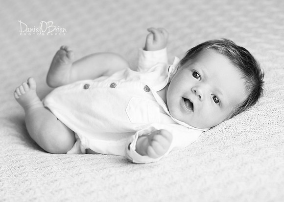 Harvey 3584008