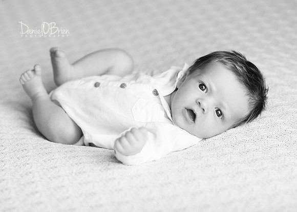 Harvey 3588010