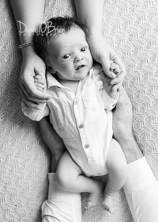 Harvey 3630024
