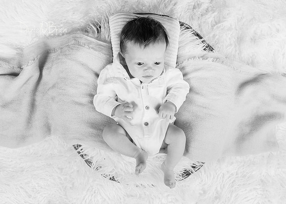 Harvey 3652032