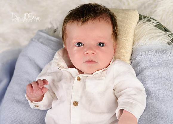 Harvey 3661033