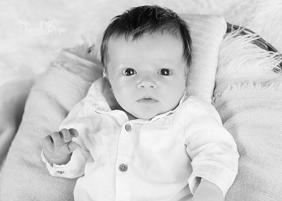 Harvey 3661034