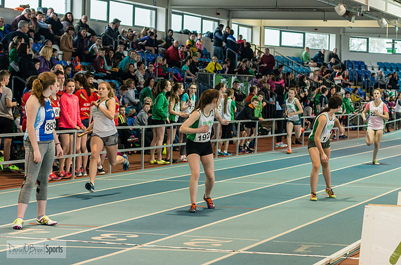_DOB6132