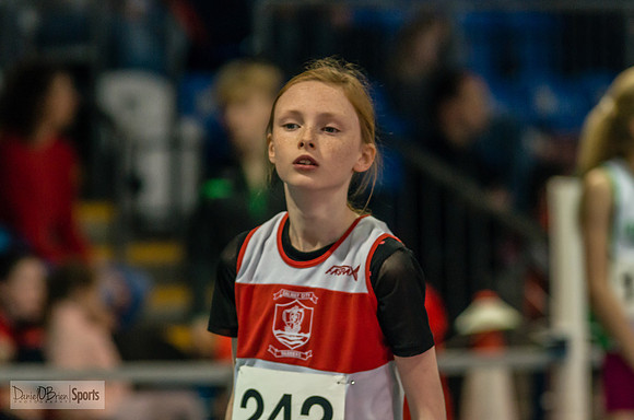 _DOB6384