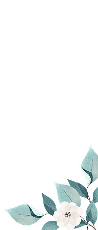prices_background_4