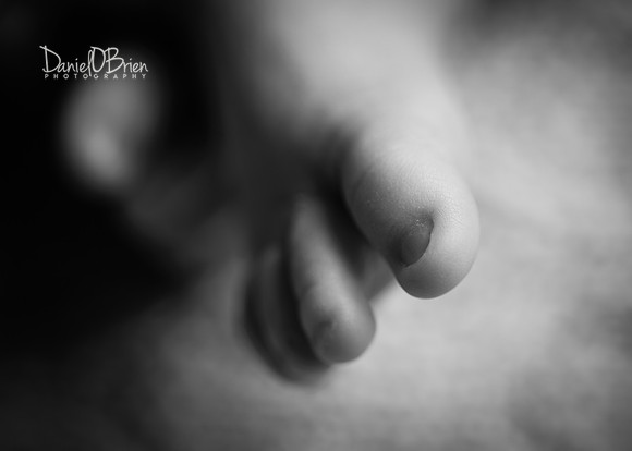 Lorraine 1905094