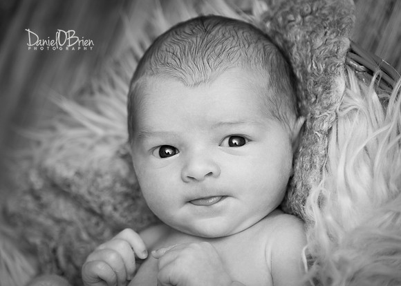 Charlie 4775028
