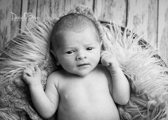 Charlie 4785034
