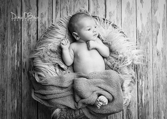 Charlie 4788036