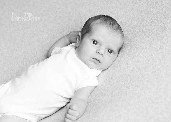 Ollie 7735012