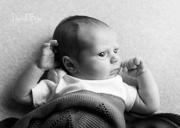 Ollie 7732010