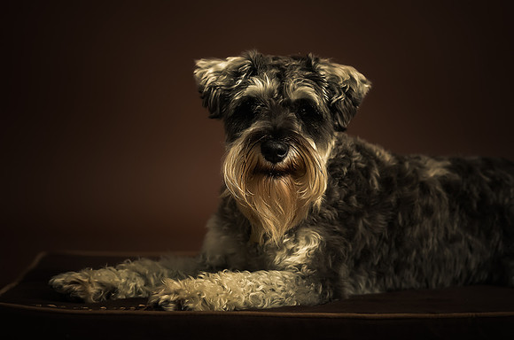 Summer0005005