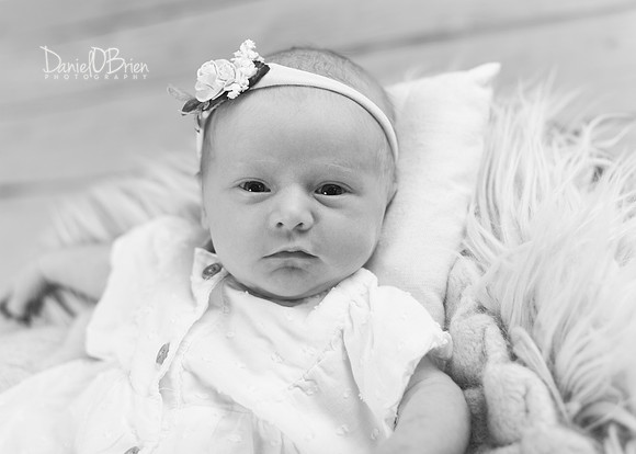 Meabh 9042026