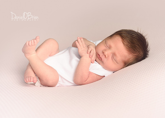 Campbell 9213013