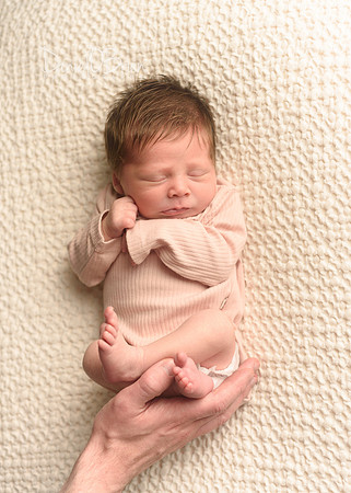 Campbell 9242027