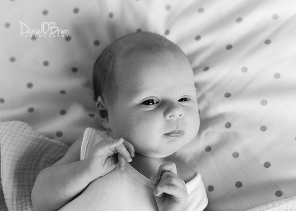 Mary 0309008