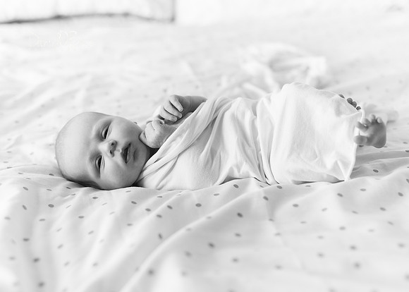 Mary 0402024