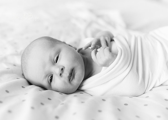 Mary 0425028