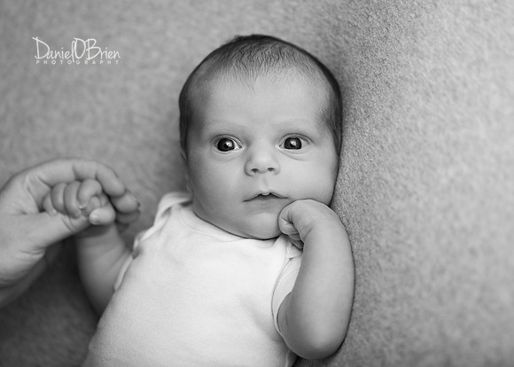 Ollie 7763024