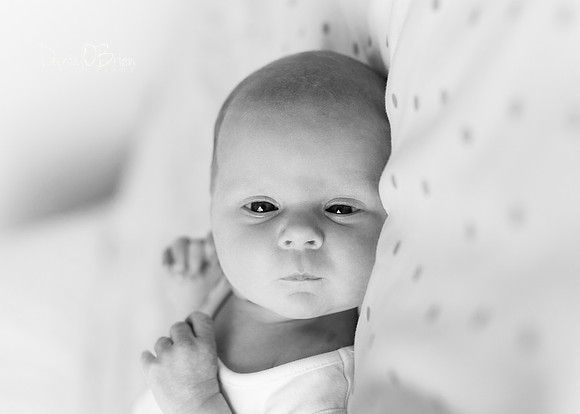 Mary 0303006