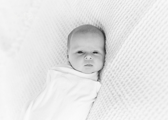 Mary 0393022