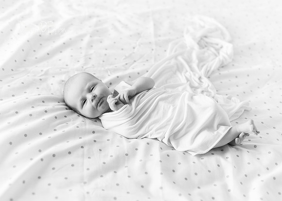 Mary 0417026