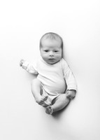Millie 9183016