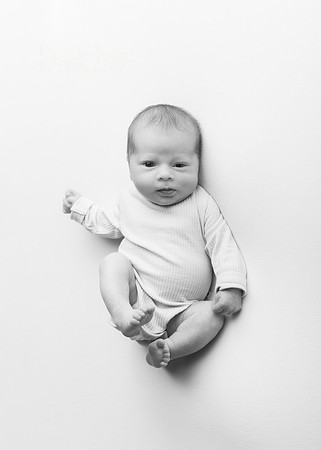 Millie 9183016