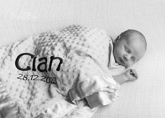 Cian 9518016