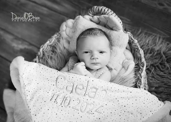Caelan 9266042