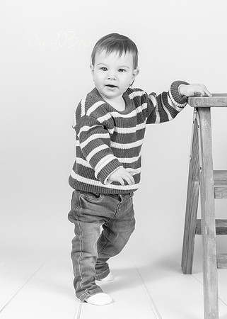 Mollie 9888012