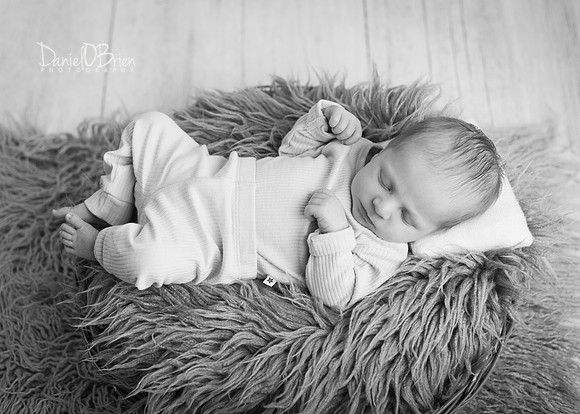 Oisín 0162034