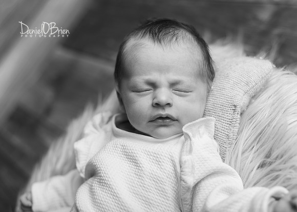 Mairead 0285020